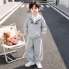 Conjunto de otoño para niños 2026 nuevo estilo coreano, ropa de otoño elegante para niños pequeños, conjunto de dos piezas con diseño de imitación de dos piezas, conjunto de dos piezas para niños estilo coreano