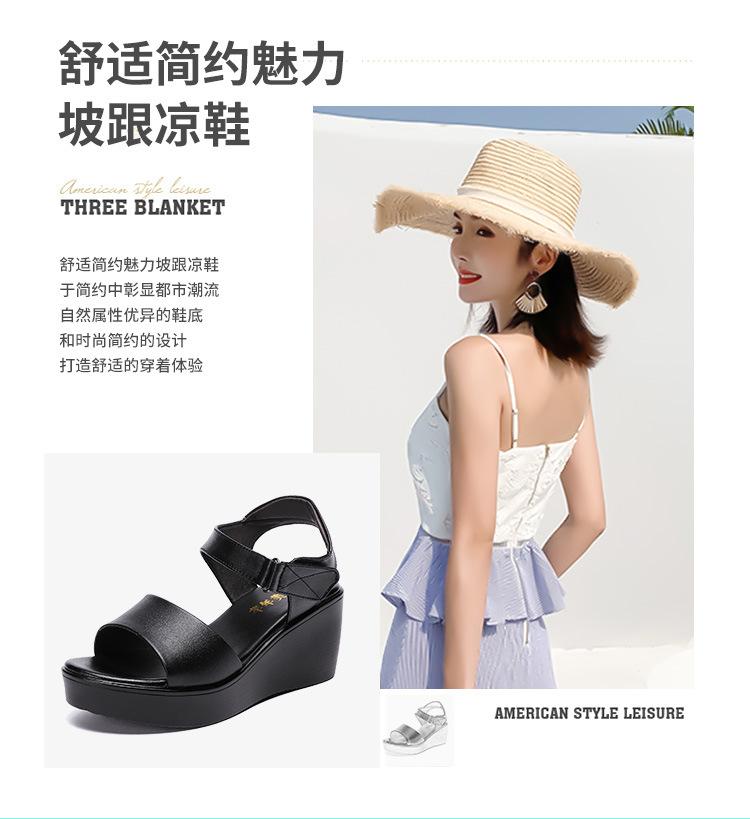 详情_02.jpg