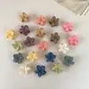 Presilha de Garra Pequena Colorida Fofa Transfronteiriça para Rabo de Cavalo Alto para Mulheres, Presilha de Flor para a Parte de Trás da Cabeça, Acessório de Cabelo para Meninas com Cabelo Grosso