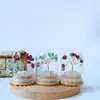 Árvore de Cristal Natural Transfronteiriça, Flor Eterna, Cobertura de Vidro, Árvore da Fortuna de Cristal, Pilar de Cristal, Aglomerado de Cristal, Enfeites de Decoração para Casa