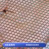 Gaiola dobrável de dois furos de fábrica rede dobrável para camarão rede de pesca gaiola para camarão caranguejo rede de pesca gaiola para peixe gaiola dobrável camarão rede de camarão de dois furos peixe