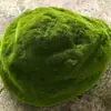 Pedra Simulada Planta Verde Saco de Musgo Saco de Musgo Saco de Pedra de Musgo Janela de Cena Decoração de Musgo Falso Pedra Simulada