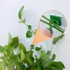 Fixador de Parede para Plantas Verdes Sem Furos Pequeno Clipe Clipe para Trepadeira Ferramenta de Moldagem Autoadesiva Invisível para Trepadeira de Plantas Verdes Adequado para Uso