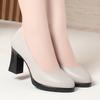 Zapatos Formales de Trabajo Versátiles de una Pieza Envío Directo Negro Ropa de Trabajo Versátil Tacones Altos para Combinar con Trajes Zapatos de Cuero Zapatos Individuales Zapatos para Entrevista de Mujer