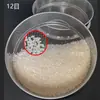 Tamiz Malla Cascarilla de Trigo Sarraceno Tamiz Acero Inoxidable Tamiz para Harina Tamiz para Polvo de Incienso Pantalla de Filtro Portatamices Tamiz para Té
