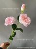 Flor Eustoma de 3 cabezas boda decoración de boda decoración floral adornos para sala de estar accesorios para sesión de fotos flores falsas suaves para el hogar