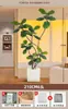 2026 Planta Verde Realista Higuera de Hoja de Violín Maceta de Piso Planta de Interior Grande Planta Biónica Adorno Decoración de Sala de Estar Flor Árbol Falso