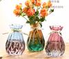 Dropshipping Vaso de Vidro Atacado Flores Flores Simuladas Hidropônico Combinação de Planta Verde Vaso Transparente Estilo Ins Arranjo de Flores