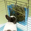 Rejilla Exterior de Hierba para Animales Pequeños Puede Fijar Cesta de Hierba para Mascotas Pequeñas Cuenco de Hierba Suministros para Conejo Chinchilla Cobaya Disponible en Múltiples Colores
