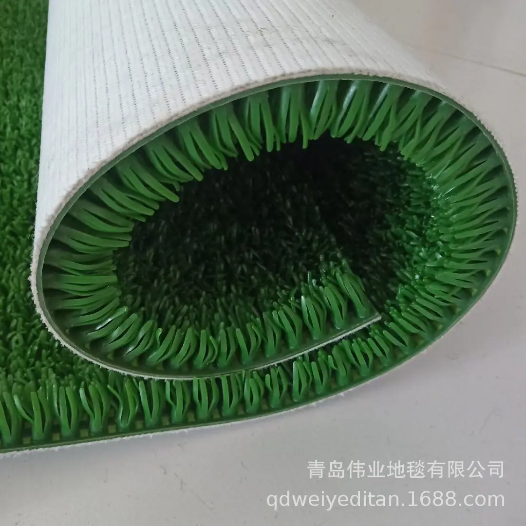 淘金草