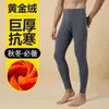 Calça Térmica Masculina com Fleece, Leggings Térmicas de Inverno com Fleece de Alta Elasticidade, Calça Térmica de Uso Interno de Cintura Alta, Fleece Dourado Protetor da Cintura