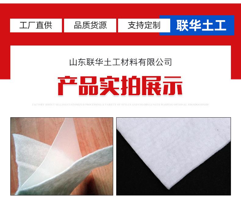 4复合土工膜_11.jpg