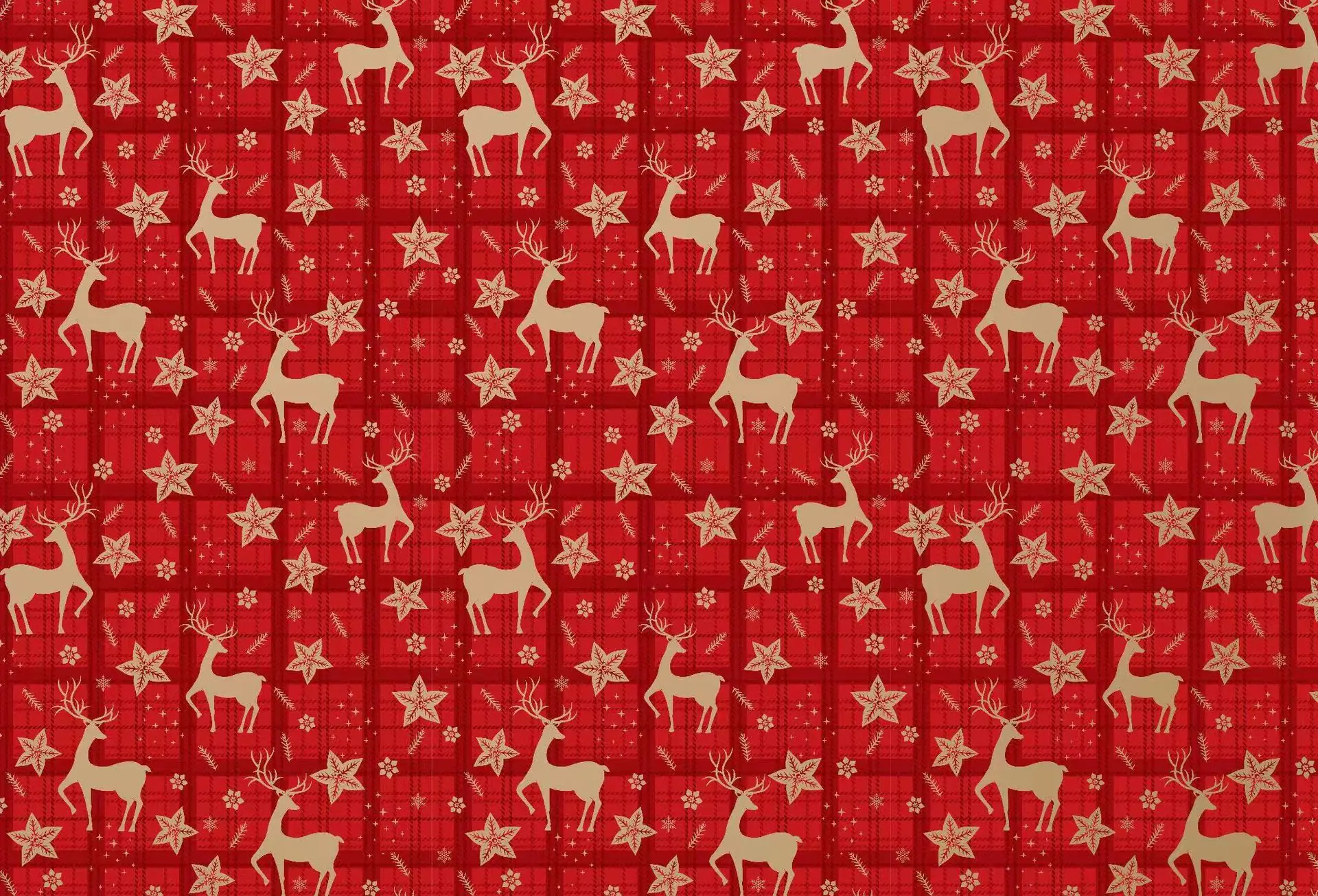 微信图片_202409222034093.jpg