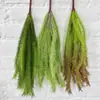 Venda Direta de Fábrica de Grama Cauda de Cachorro Yuxin para Decorações de Eventos em Grandes Shoppings, Decorações de Parede de Plantas para Casamentos, Penduricalhos no Atacado