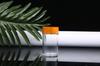 Frascos para Pó de Dendrobium Officinale e Panax Notoginseng, Embalagens Plásticas para Produtos Medicinais e de Saúde, Frascos Plásticos para Dispensar Líquidos de Boca Larga