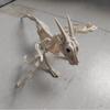 Halloween animal dragão voador esqueleto cor atividade horror decoração de casa brinquedo ao ar livre decoração adereços de layout de cena