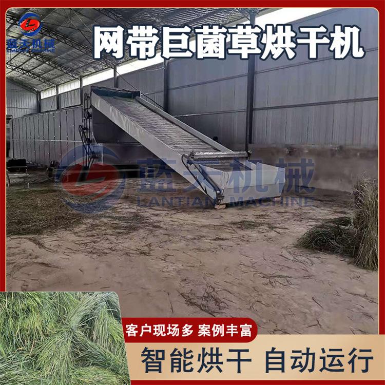 阿里.jpg
