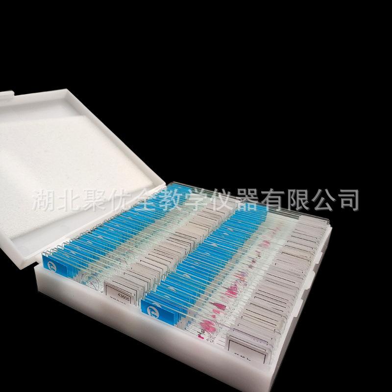 O1CN01vm0pMs1vVZQFayNGK_!!1024