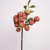 Galhos de Lichia Artificial de Alta Qualidade com Significado Inspirador, Adequados para Arte de Arranjo Floral, Estilo Pastoral, Decoração de Sala de Estar e Janela