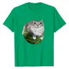 Camiseta Nueva con Estampado de Meme de Gato Sandía para Mujer, Moderna, Comercio Exterior, Holgada, Casual, Deportiva, Manga Corta