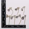 Forma Natural Ramas de Flores Mixtas Flores Secas en Relieve Muestras Materiales Decorativos DIY Hechos a Mano Colección de Plantas Pinturas Decorativas
