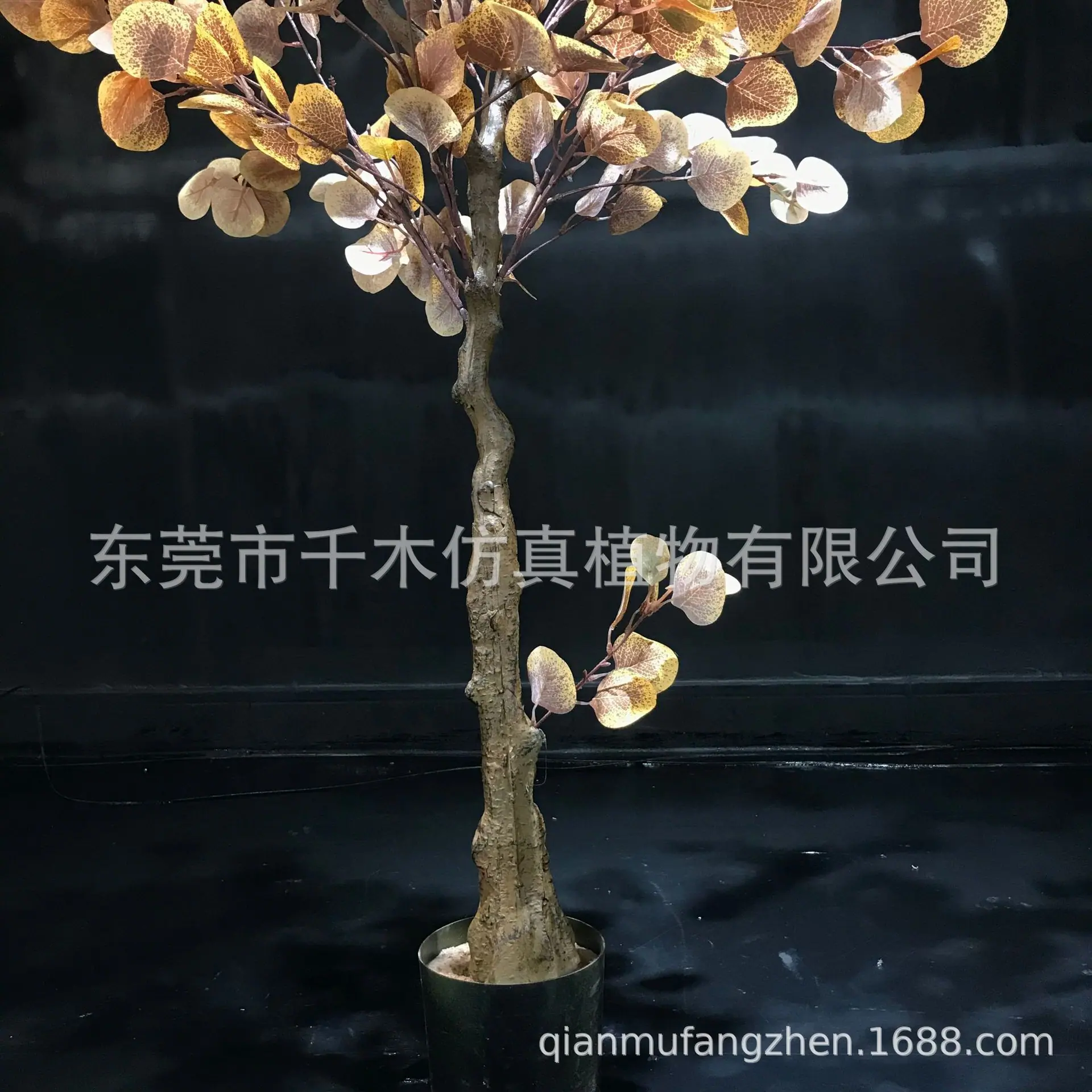 微信图片_2021121114341823