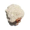 Caja de Anillo de Cueva de Cristal Marroquí de Cristal Blanco Natural Adornos de Ágata Joyería para Propuesta Caja de Regalo para Novia