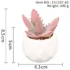 Suculenta Planta Taça de Diamante Bonsai Decoração Casa Escritório Es1178-4 Paisagem em Microfibra Aveludada Mini Alta Simulação