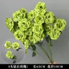 Plantas Verdes, Hierba de Junco, Hierba Bigote de Dragón, Fondo de Boda, Paisajismo de Ventana Floral, Flores Decorativas para Boda en Bosque Blanco y Verde