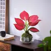 Gardenia Hidropónica Bola de Musgo en Maceta Rosa Miniatura Plantas de Oficina Bambú de la Suerte Árbol del Dinero de Escritorio Interior