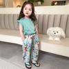 Conjunto Transfronterizo para Niñas con Temática de Mariposa Verde, Atuendo de Dos Piezas Moderno Estilo Coreano para Niñas Jóvenes, Ropa de Verano para Niños Pequeños y Medianos