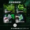 "Ciudad Vacía" Césped Neto Creativo Mini Planta Musgo Micro Paisaje Botella Ecológica Tanque de Agua y Tierra Paisajismo Piedra Absorbente