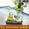 Pesca de rana planta verde hidropónico jarrón cristalería transparente flores de cultivo de agua arreglo floral maceta decoración de mesa