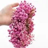 Guirlanda de Flores Flores Secas Flor Eterna Kit de Materiais Mais Vendido na Amazon DIY Feito à Mão Fabricante de Yunnan Atacado Dropshipping