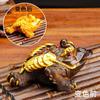 Enfeites de animal de estimação de chá podem ser criados e sapo dourado que muda de cor da sorte acessórios para conjunto de chá conjunto de chá kung fu criativo pauzinhos para brincar de chá animal de estimação de chá que muda de cor