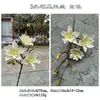 Nuevo producto transfronterizo: Flores de Magnolia Rosa Artificiales, Magnolia de la Fortuna de 3 Cabezas, Accesorios para Fotografía de Bodas y Hogar, Flores Falsas Decorativas