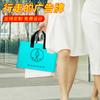 Bolsas de Plástico Personalizadas para Tiendas de Ropa, Maternidad y Bebés, Bolsas de Compra Personalizadas con Logo Impreso, Empaque para Regalos, Portátil