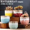 Vaso de Flor Suculenta Cerâmica Preço Especial Liquidação Esmaltado Tamanhos Grande e Pequeno Simples Pastoral Mesa Vasos de Barro Respirável Plantas Leede Estoque