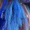 Hierba Barba de Dragón Eterna, Hierba de Junco, Flores Reales, Venta al por Mayor Fabricante de Yunnan, Serie Fuegos Artificiales de Ensueño, Materiales Florales para Cortinas de Boda, Decoración Suave