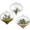 Vaso de pendurar pastoral cristal transparente dispositivo hidropônico para suculentas e flores decoração de casa adereços de casamento