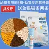 Zhenzhile Comida Liofilizada para Gatos Paquetes de 5 kg para Gatos Adultos 5 kg Gatitos Hueso Crudo y Carne Nutrición Engordadora Pelo Branquias Precio Completo Tipo Universal