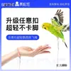 Cuerda anti-vuelo para loro cuerda de liberación de acero inoxidable loro Qing Song pata de pájaro caminar libremente Piel de Tigre tobillera de cacatúa Ma Taibao