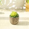 Simulação criativa suculenta planta vaso cacto falso flor verde planta decoração escritório decoração desktop decoração frete grátis