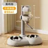 Dispensador de Agua Vertical para Mascotas con Altura Ajustable, Bebedero para Colgar en Jaula, Plato Cerámico para Perros, Plato de Acero Inoxidable para Gatos