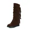 Novas Botas Casuais de Salto Alto Plataforma Interna com Franjas, Cano Médio, Botas de Algodão, Tamanhos Grandes 40-43, Botas de Comércio Exterior
