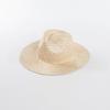 Moda Casual Primavera e Verão Chapéu Jazz de Aba Larga Tecido à Mão de Sisal Natural Chapéu de Palha Rede de Proteção Solar para Viagem ao Ar Livre Tendência