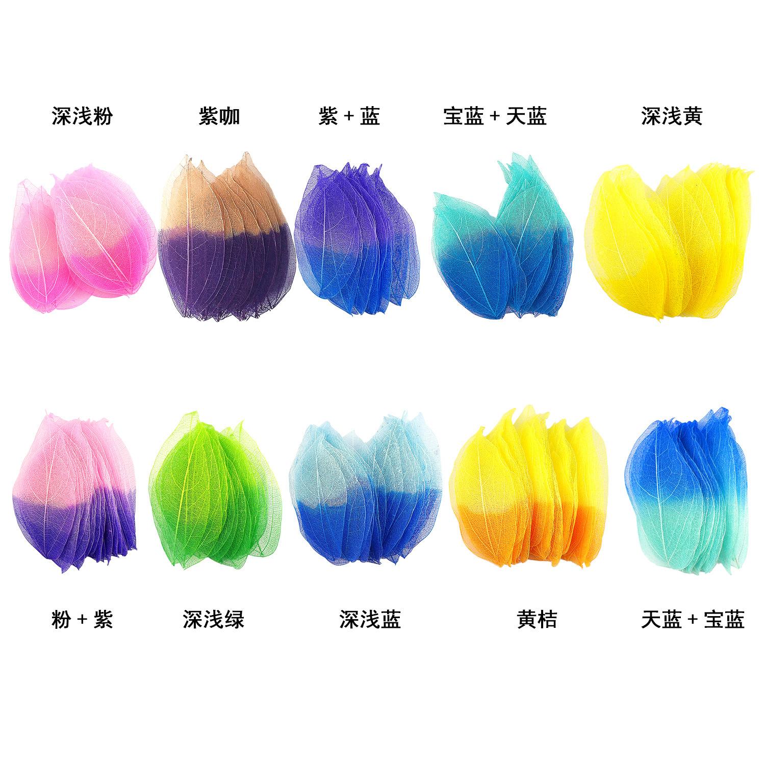 双色金刚叶6-3.jpg