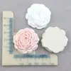 Accesorios de resina: Camelia, Peonía, Flor de Zapato, Flor de Rosa en Tamaños Grande, Mediano y Pequeño, Materiales para Fundas de Teléfono y Accesorios para el Cabello DIY
