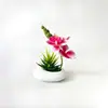 Nuevo Macetero Negro Piedra 3 Flores Phalaenopsis Suculenta Bonsái Flor Suministro Directo del Fabricante Moderna Decoración del Hogar