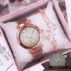 Set de reloj para mujer Traje de pulsera luminosa para mujer Reloj de cuarzo Reloj para mujer reloj de pulsera